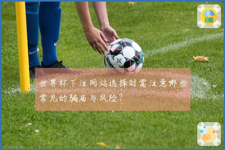 世界杯下注网站选择时需注意哪些常见的骗局与风险？