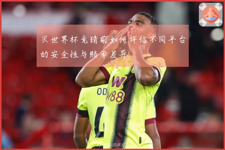 买世界杯竞猜前如何评估不同平台的安全性与赔率差异