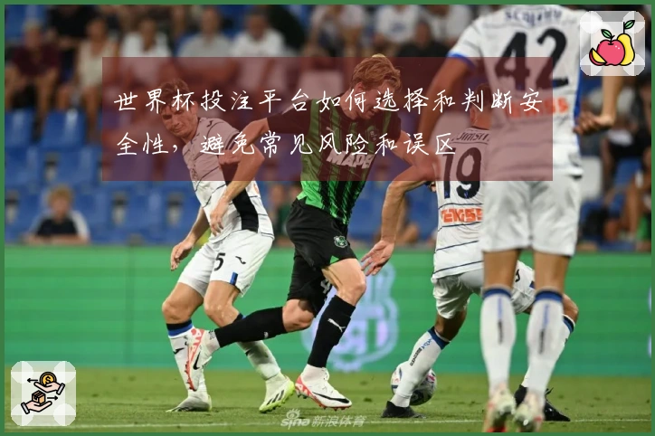 世界杯投注平台如何选择和判断安全性，避免常见风险和误区
