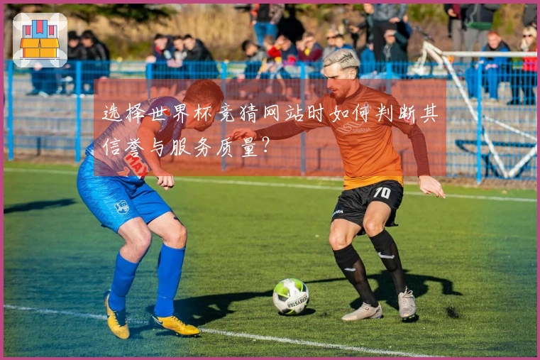选择世界杯竞猜网站时如何判断其信誉与服务质量？