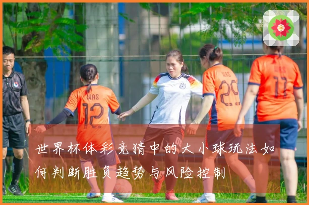 世界杯体彩竞猜中的大小球玩法如何判断胜负趋势与风险控制