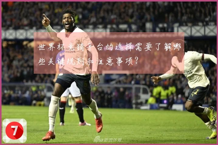 世界杯竞猜平台的选择需要了解哪些关键规则和注意事项？