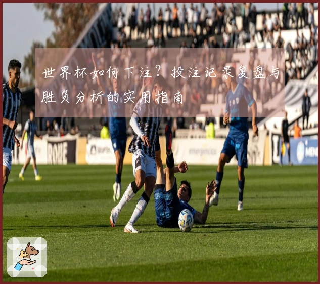 世界杯如何下注？投注记录复盘与胜负分析的实用指南
