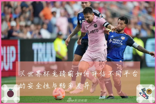 买世界杯竞猜前如何评估不同平台的安全性与赔率差异