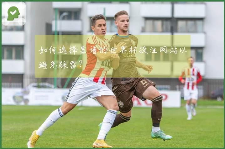 如何选择靠谱的世界杯投注网站以避免踩雷？