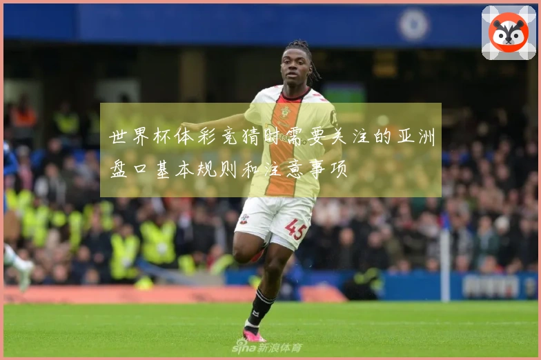 世界杯体彩竞猜时需要关注的亚洲盘口基本规则和注意事项