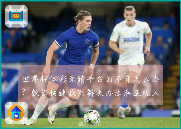 世界杯体彩竞猜平台打不开怎么办？教你快速找到解决办法和正规入口