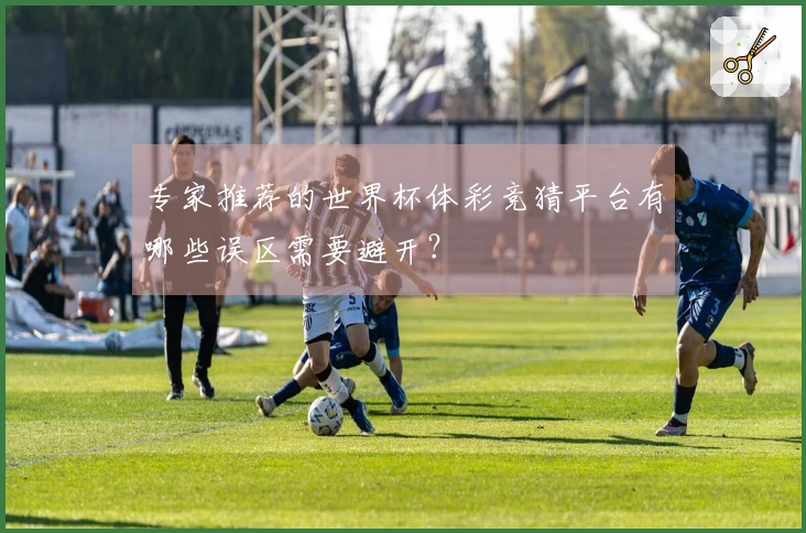 专家推荐的世界杯体彩竞猜平台有哪些误区需要避开？