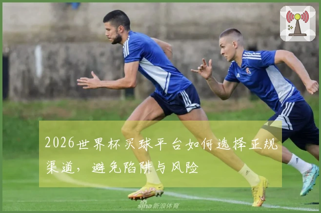 2026世界杯买球平台如何选择正规渠道，避免陷阱与风险