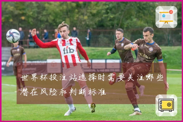 世界杯投注站选择时需要关注哪些潜在风险和判断标准