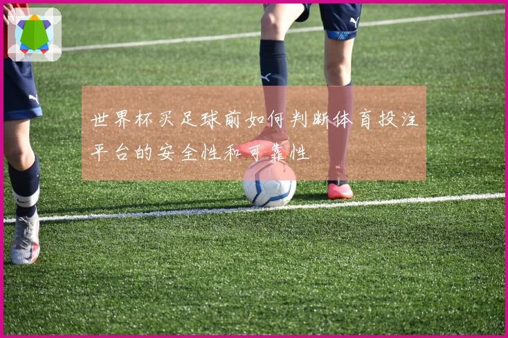 世界杯买足球前如何判断体育投注平台的安全性和可靠性
