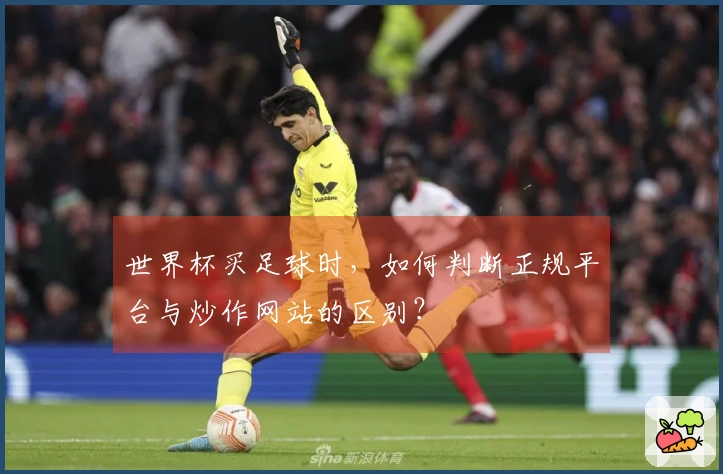 世界杯买足球时，如何判断正规平台与炒作网站的区别？
