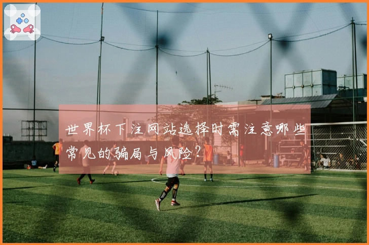 世界杯下注网站选择时需注意哪些常见的骗局与风险？