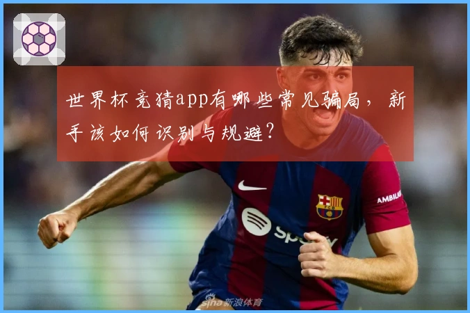 世界杯竞猜app有哪些常见骗局，新手该如何识别与规避？