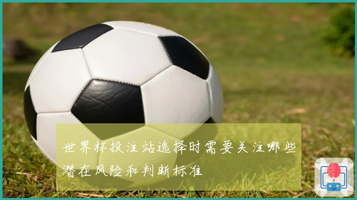 世界杯投注站选择时需要关注哪些潜在风险和判断标准