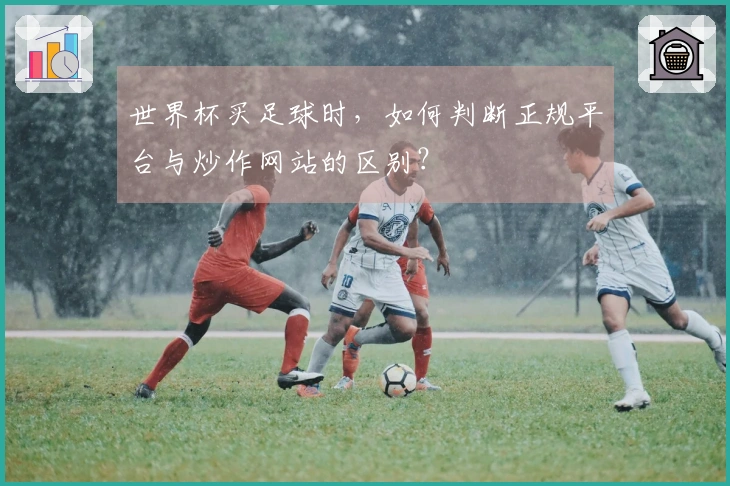世界杯买足球时，如何判断正规平台与炒作网站的区别？
