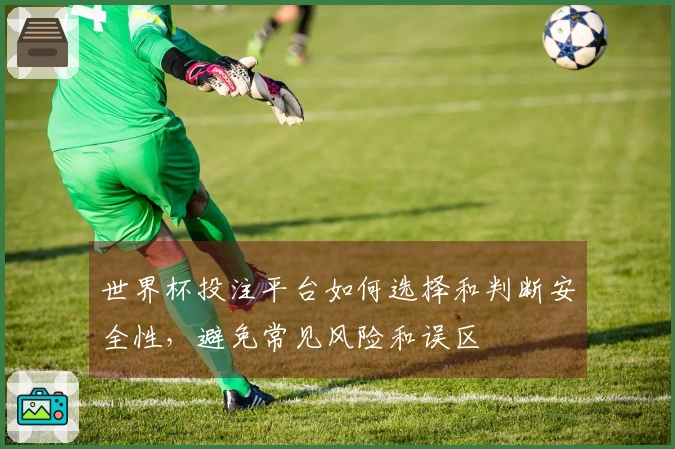 世界杯投注平台如何选择和判断安全性，避免常见风险和误区