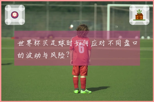 世界杯买足球时如何应对不同盘口的波动与风险？