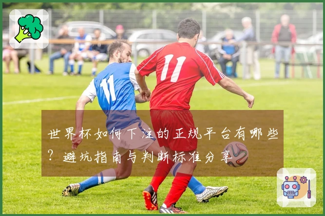 世界杯如何下注的正规平台有哪些？避坑指南与判断标准分享