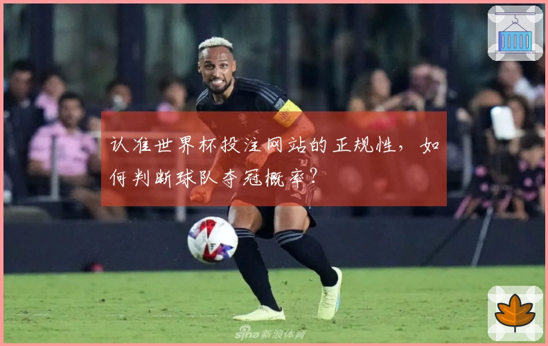 认准世界杯投注网站的正规性，如何判断球队夺冠概率？