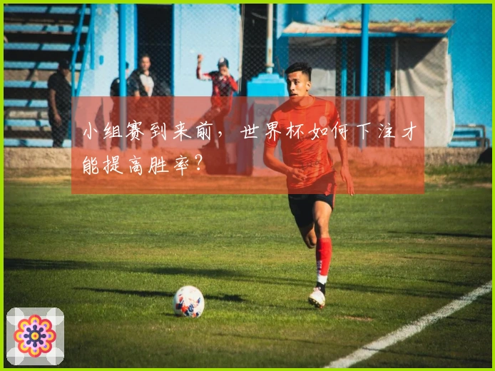 小组赛到来前，世界杯如何下注才能提高胜率？