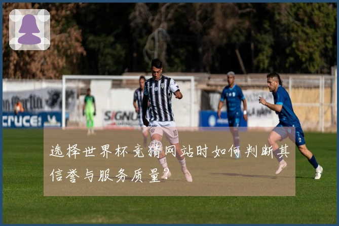 选择世界杯竞猜网站时如何判断其信誉与服务质量？