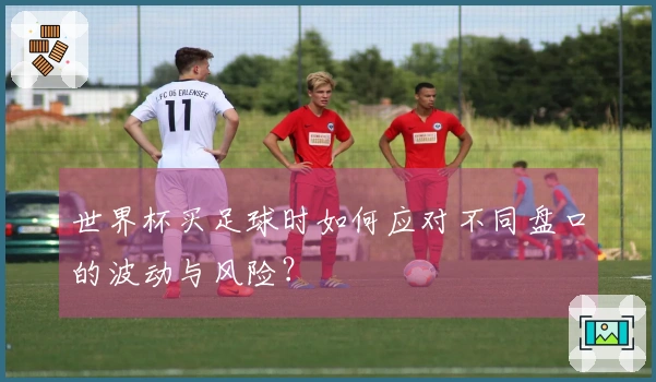 世界杯买足球时如何应对不同盘口的波动与风险？