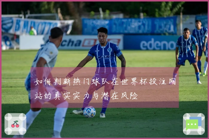 如何判断热门球队在世界杯投注网站的真实实力与潜在风险