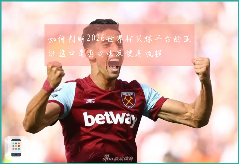 如何判断2026世界杯买球平台的亚洲盘口是否合法及使用流程
